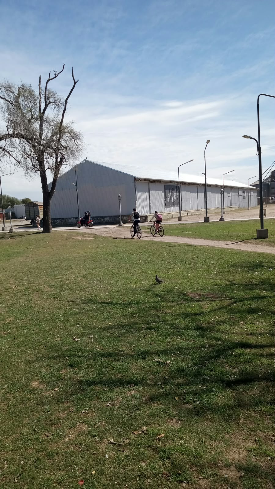 Antes